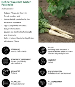 Dehner Gourmet Garten Pastinake