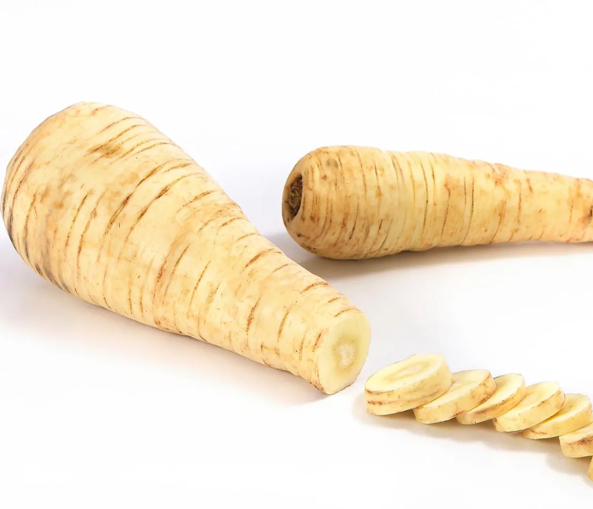 Dehner Gourmet Garten Pastinake