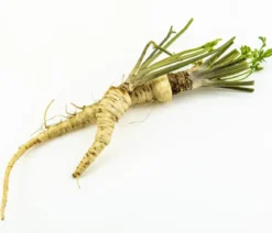 Dehner Gourmet Garten Petersilienwurzel