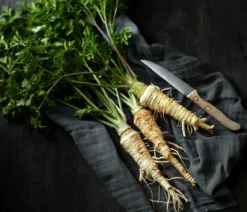 Dehner Gourmet Garten Petersilienwurzel