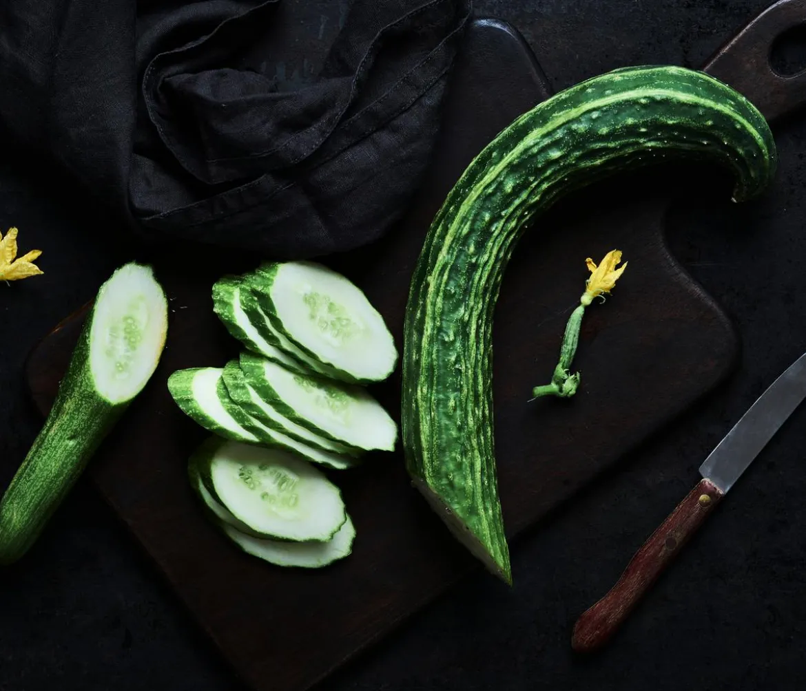 Dehner Gourmet Garten Schlangengurke, veredelt