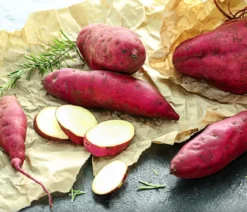 Dehner Gourmet Garten Süßkartoffel, verschiedene Sorten