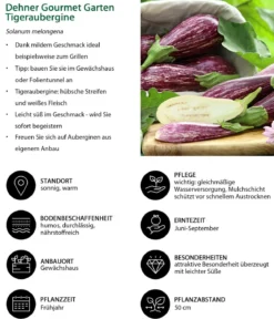 Dehner Gourmet Garten Tigeraubergine