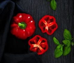 Dehner Gourmet Garten Tomatenpaprika