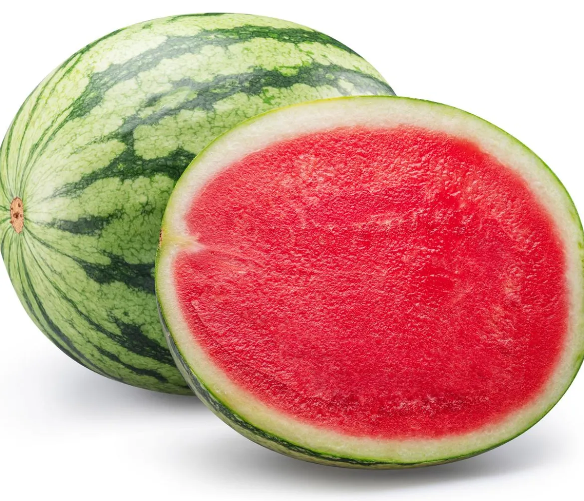 Dehner Gourmet Garten Wassermelone, veredelt