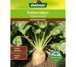 Dehner Gründüngung Futterrüben 'Eckdogelb Futterpflanze'
