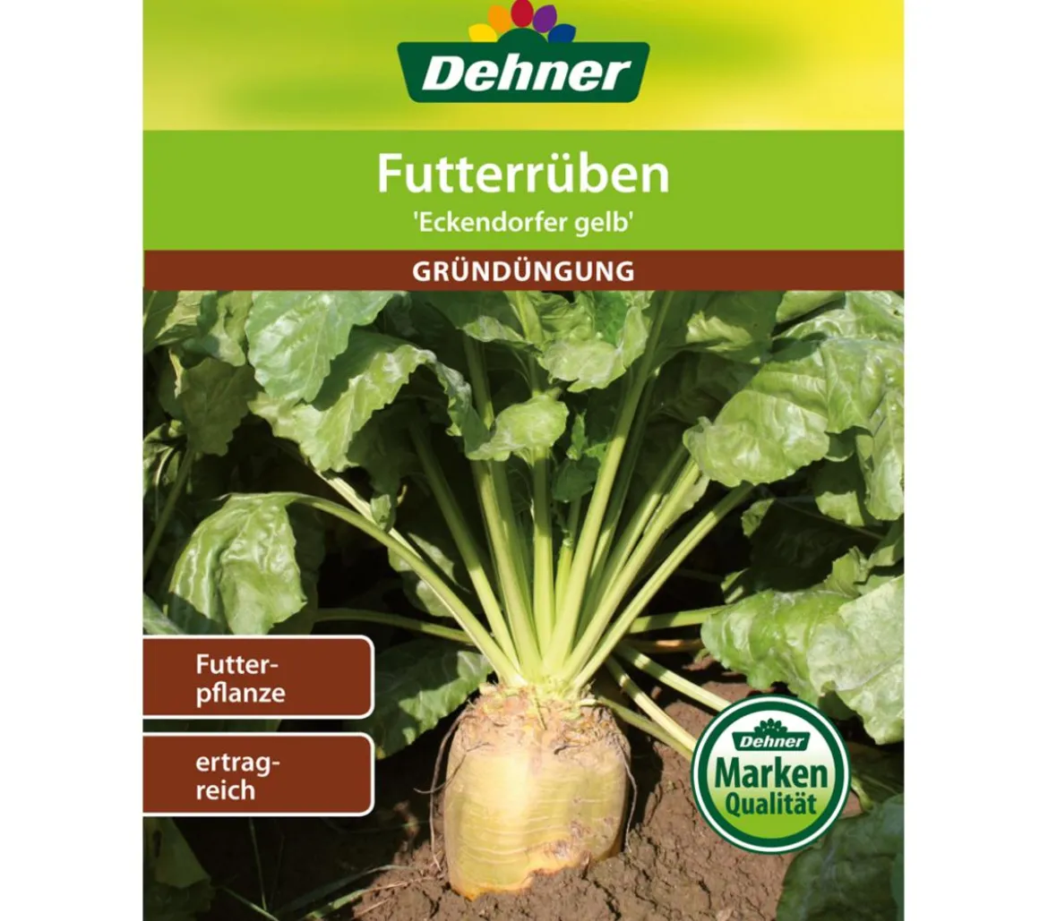Dehner Gründüngung Futterrüben 'Eckdogelb Futterpflanze'