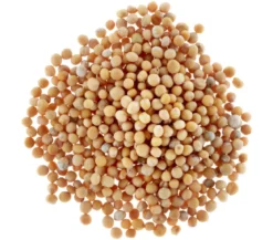 Dehner Gründüngung Gelbsenf, 80 g
