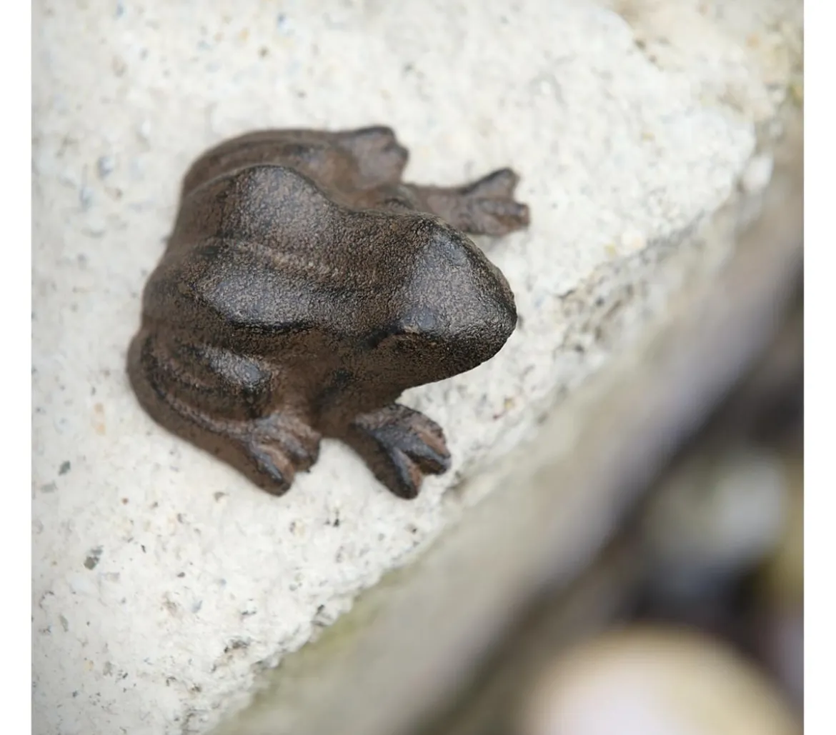 Dehner Gusseisen Frosch mini