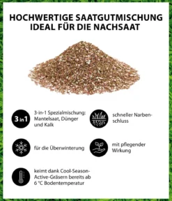 Dehner Herbstrasen-Nachsaat, 750 g