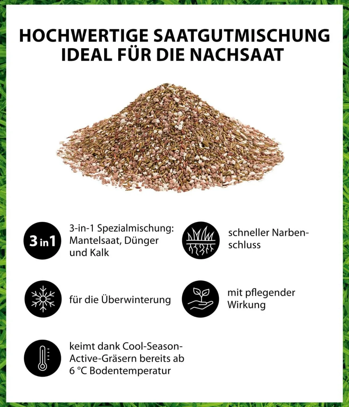 Dehner Herbstrasen-Nachsaat, 750 g