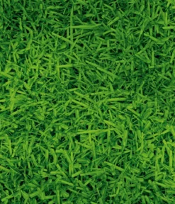 Dehner Herbstrasen-Nachsaat, 750 g