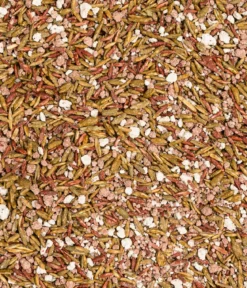 Dehner Herbstrasen-Nachsaat, 750 g