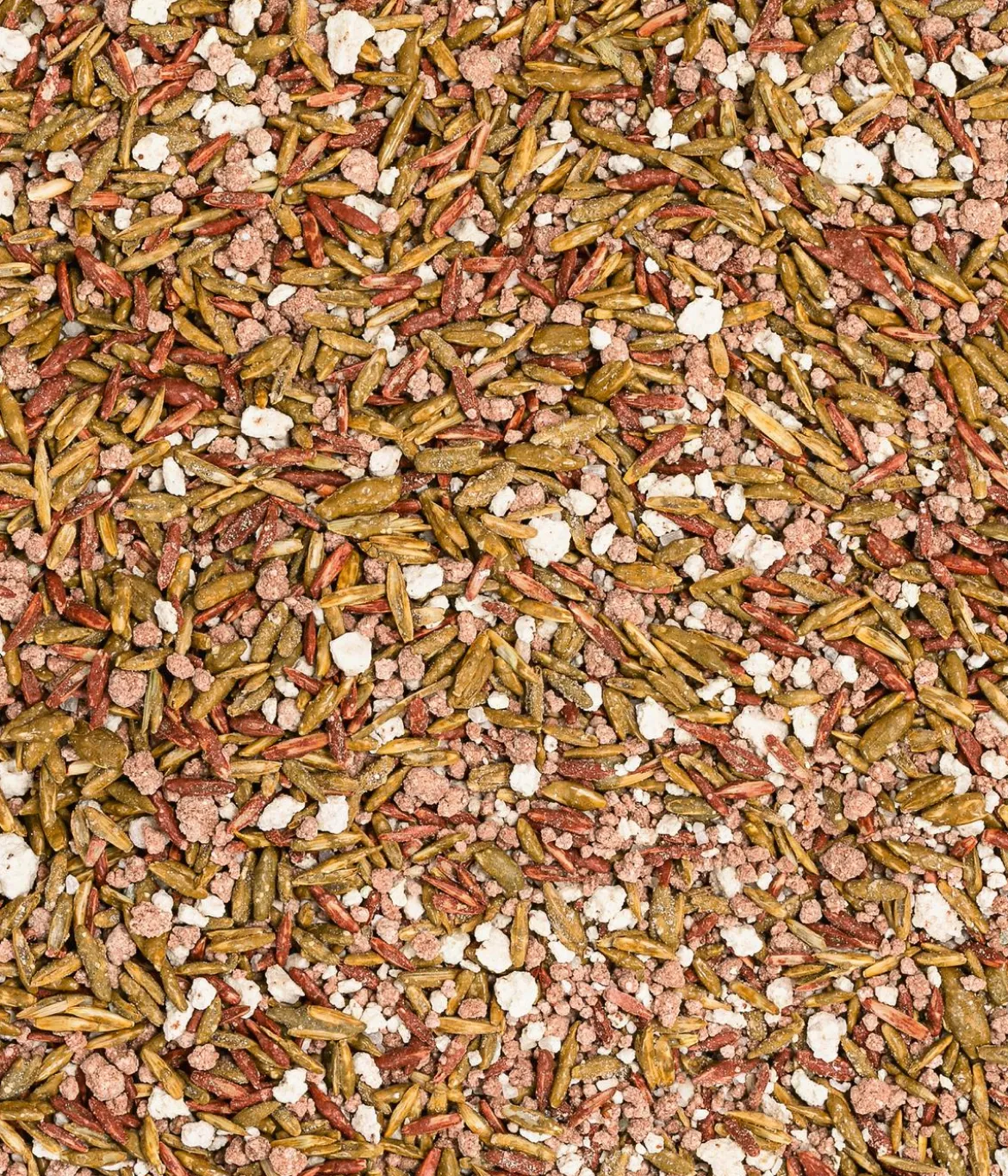 Dehner Herbstrasen-Nachsaat, 750 g