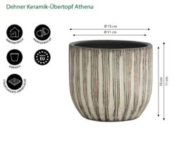 Dehner Keramik-Übertopf Athena, konisch, creme
