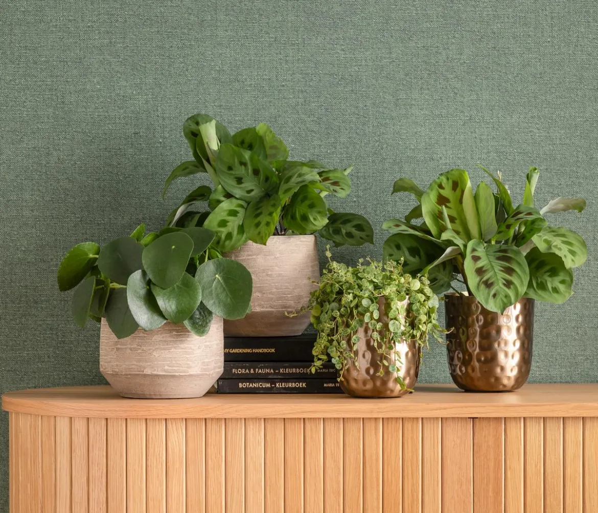 Dehner Keramik-Übertopf Tristan, bauchig, creme/braun