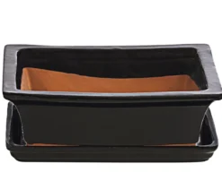 Dehner Keramik-Bonsaischale, rechteckig, schwarz, ca. B25/H12 cm