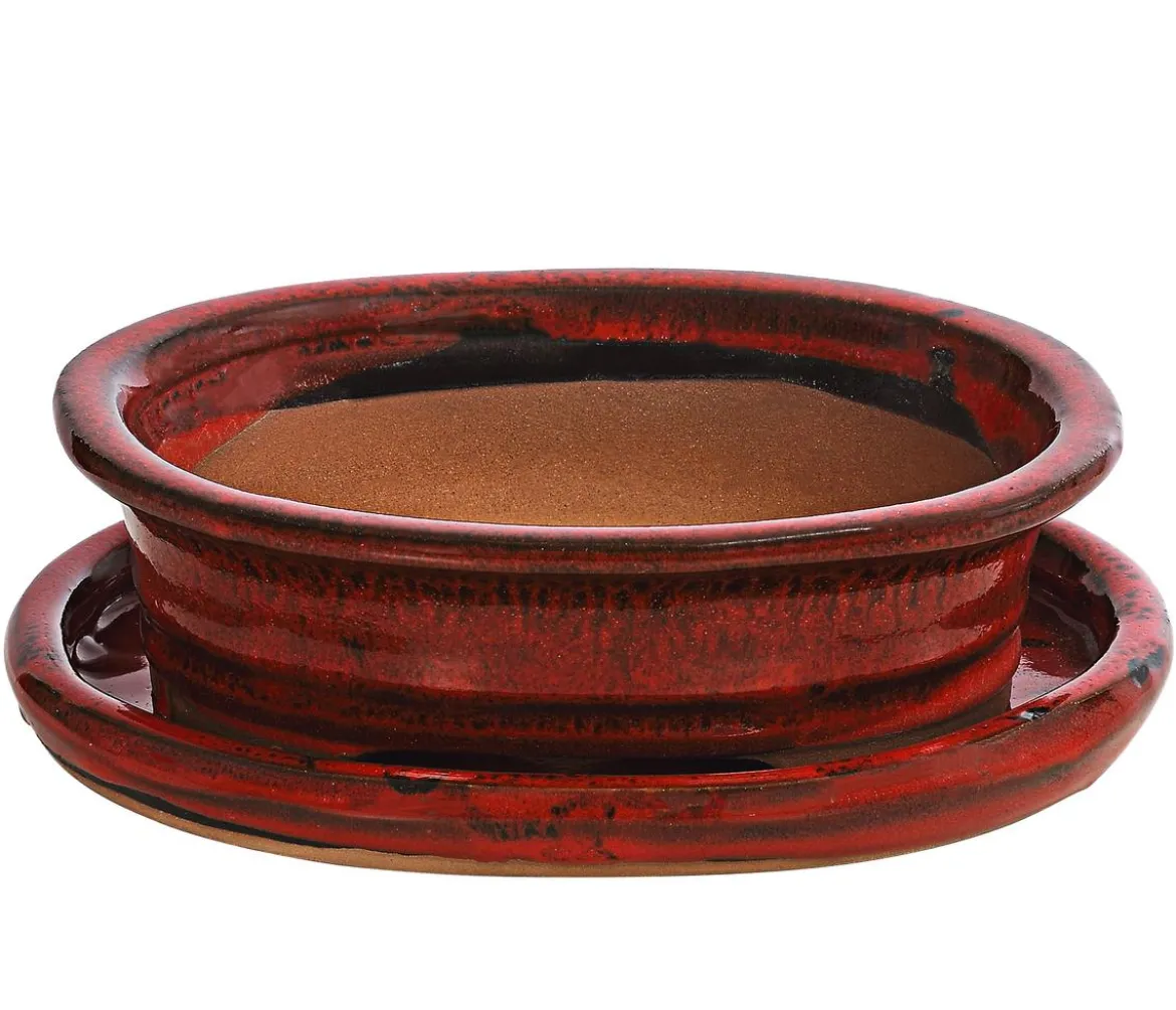 Dehner Keramik-Bonsaischale, oval, rot