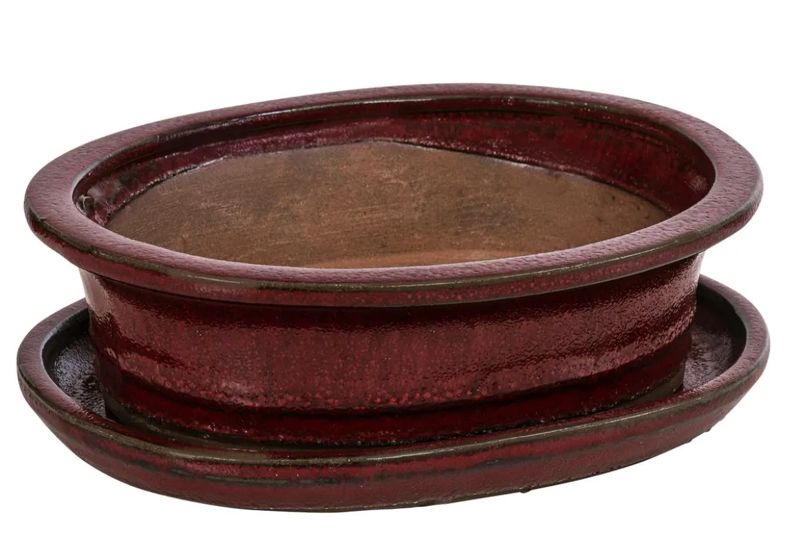 Dehner Keramik-Bonsaischale, oval, rot/grau