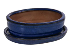 Dehner Keramik-Bonsaischale, oval, ca. B15/H4,5/T12 cm
