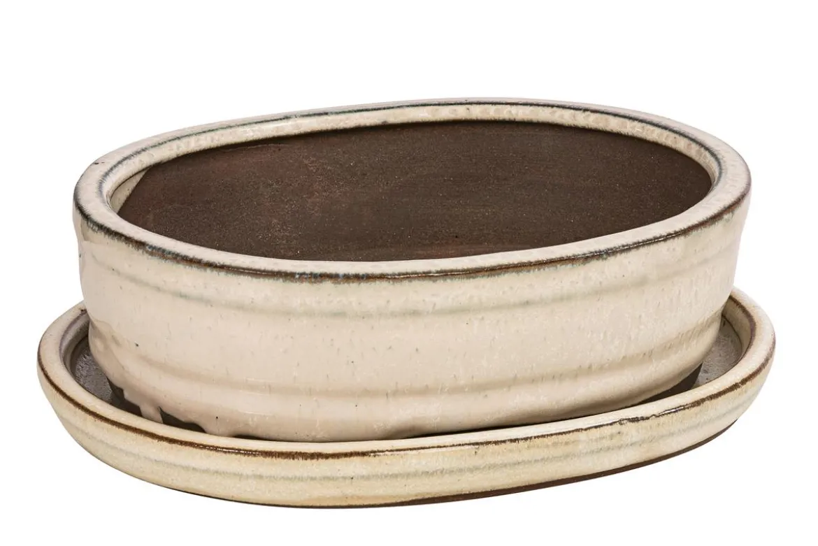 Dehner Keramik-Bonsaischale, oval, ca. B15/H4,5/T12 cm