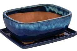 Dehner Keramik-Bonsaischale, rechteckig, blau/beige