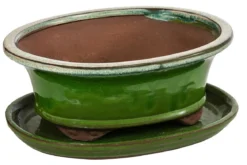Dehner Keramik-Bonsaischale, oval, hellgrün/beige