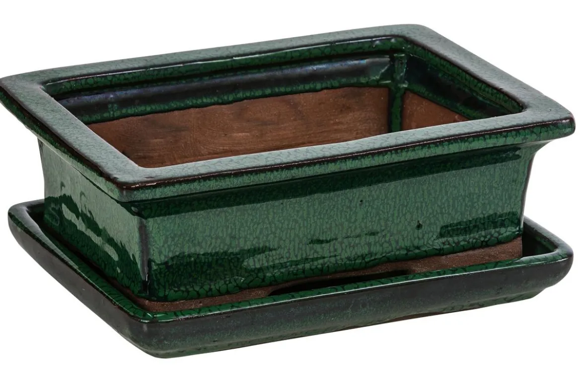 Dehner Keramik-Bonsaischale, rechteckig, ca. B18/H6/T14 cm