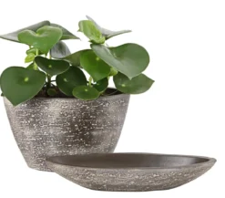 Dehner Keramik-Jardiniere Kenia, oval, braun