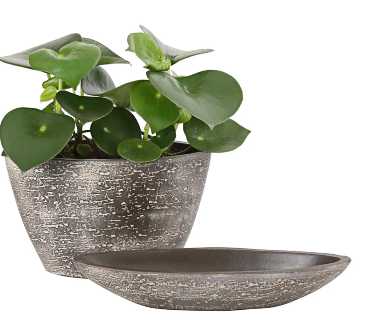 Dehner Keramik-Jardiniere Kenia, oval, braun