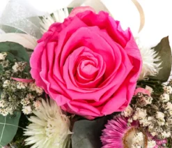 Dehner Keramik-Jardiniere mit Longlife-Rose, rosa, ca. B17/H12/T8 cm