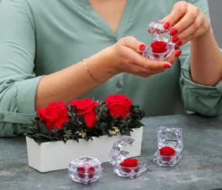 Dehner Keramik-Jardiniere mit Longlife-Rose Elen, rot, ca. B23/H11/T7 cm