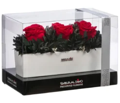 Dehner Keramik-Jardiniere mit Longlife-Rose Elen, rot, ca. B23/H11/T7 cm