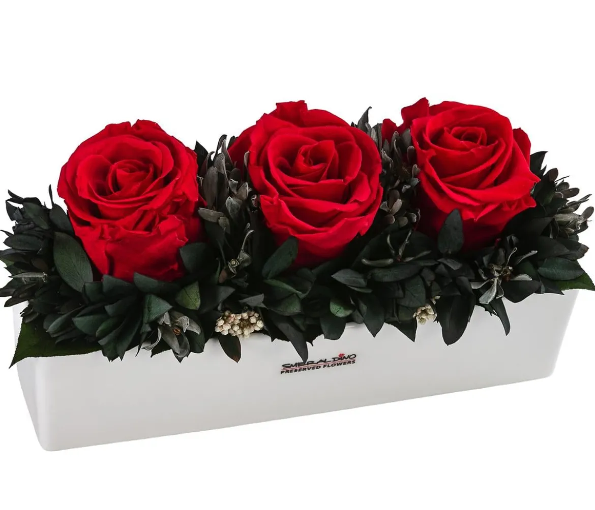 Dehner Keramik-Jardiniere mit Longlife-Rose Elen, rot, ca. B23/H11/T7 cm