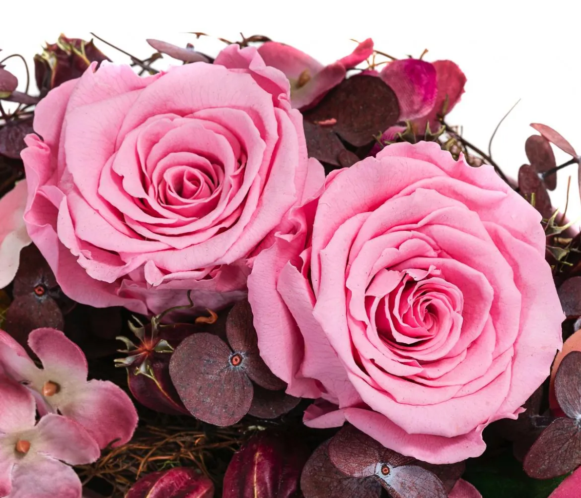 Dehner Keramik-Jardiniere mit Longlife-Rose Juna, rosa, ca. B23/H15/T12 cm