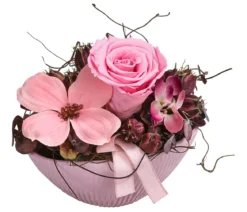 Dehner Keramik-Jardiniere mit Longlife-Rose Mila, rosa, ca. B17/H12/T8 cm