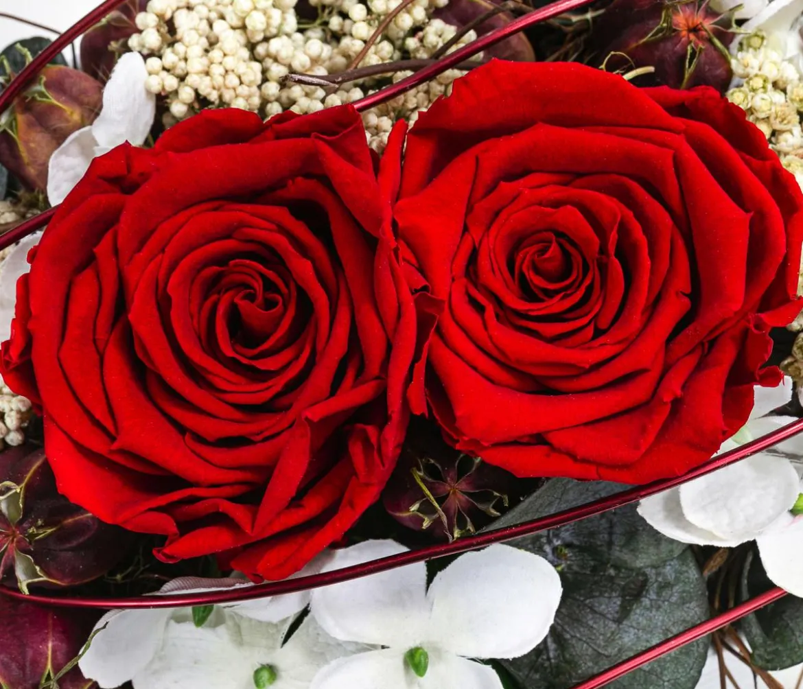 Dehner Keramik-Jardiniere mit Longlife-Rose Kiara, rot, ca. B23/H15/T12 cm