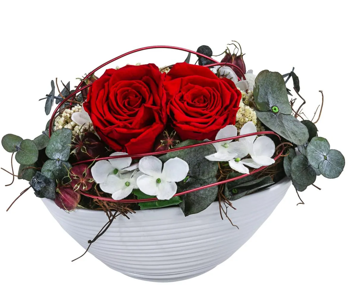 Dehner Keramik-Jardiniere mit Longlife-Rose Kiara, rot, ca. B23/H15/T12 cm