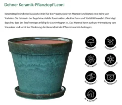 Dehner Keramik-Pflanztopf Leoni inkl. Untersetzer, konisch, ca. Ø15,5/H13 cm