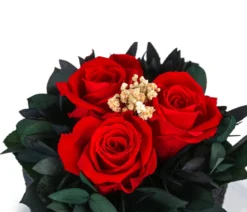 Dehner Keramik-Schale mit Longlife-Rose Izzy, ca. Ø12/H16 cm