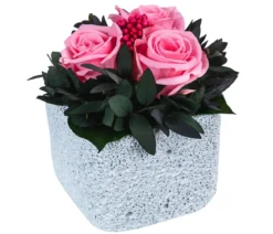 Dehner Keramik-Schale mit Longlife-Rose Izzy, ca. Ø12/H16 cm
