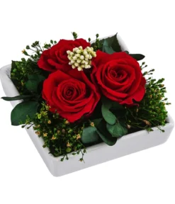 Dehner Keramik-Schale mit Longlife-Rose Zina, rot, ca. B10/H7/T10 cm