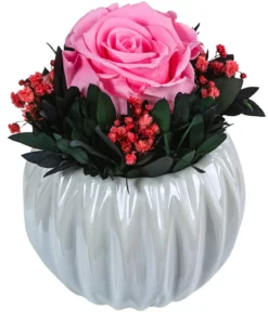 Dehner Keramik-Schale mit Longlife-Rose Perla, ca. Ø12/H16 cm