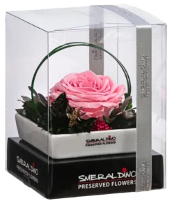 Dehner Keramik-Schale mit Longlife-Rose Dita, ca. B10/H11/T10 cm