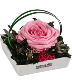 Dehner Keramik-Schale mit Longlife-Rose Dita, ca. B10/H11/T10 cm
