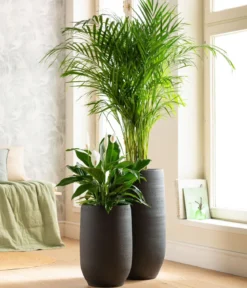 Dehner Keramik-Vase Alex, rund, dunkelgrau