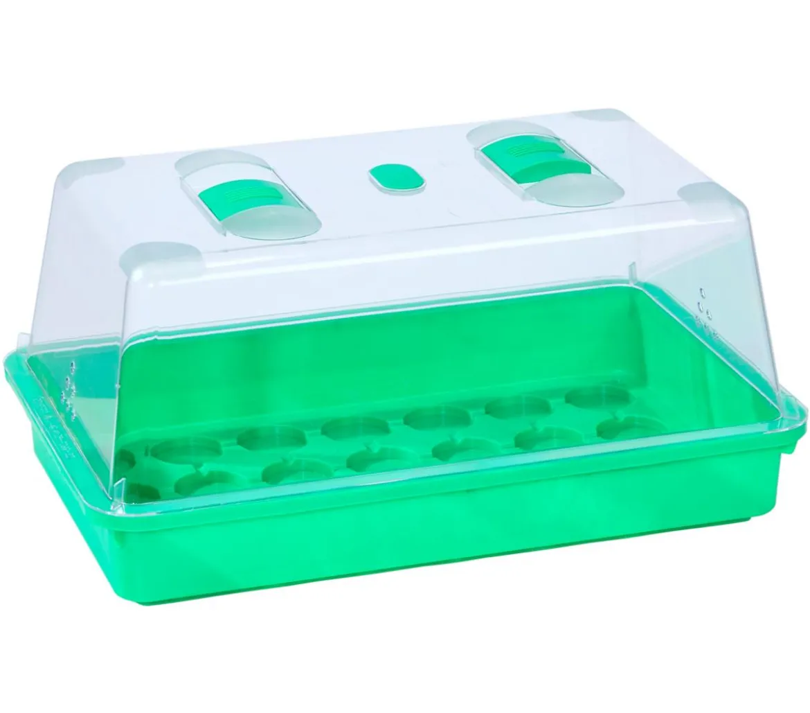 Dehner Kids Anzucht-Set für Kinder, ca. B38/H18/T24 cm