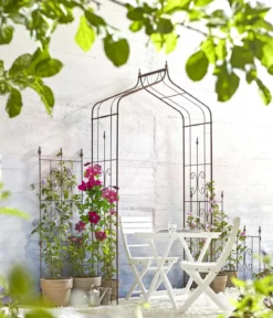 Dehner Kombi-Spalier Clematis, rost/gold