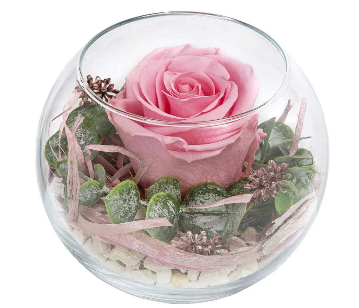 Dehner Kugelglas mit Longlife-Rose Doris, rosa, ca. Ø10/H12 cm
