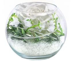 Dehner Kugelglas mit Longlife-Rose Abby, ca. Ø10 cm